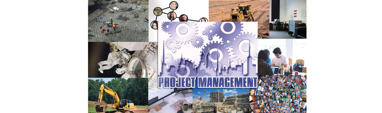 Ptrs Consulting Industry experience in Project Managment